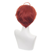 Cosplay Wig - CS 467C-Cosplay Wig-UNIQSO Canada