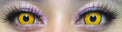 Kazzue Crazy Lens with Power - Mad Hatter (1 lens/pack)-Crazy Contacts-UNIQSO