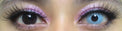 Sweety Crazy Zombie (1 lens/pack) [Exp: 03/2026]-Crazy Contacts-UNIQSO