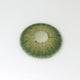 Sweety Magnificent Amazonia Green (1 lens/pack)-Colored Contacts-UNIQSO