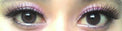 Flash Fairy Elves Grey (2 lenses/pack)-Colored Contacts-UNIQSO Canada
