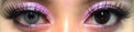 Flash VeniCol Desert Grey (2 lenses/pack)-Colored Contacts-UNIQSO Canada