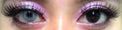 Flash VeniCol Lilia Grey (2 lenses/pack)-Colored Contacts-UNIQSO Canada