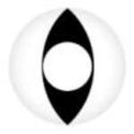 Coscon Crazy with Power - Viper (1 lens/pack)-Crazy Contacts-UNIQSO
