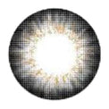 I-Codi Chou Cream Grey (1 lens/pack)-Colored Contacts-UNIQSO Canada