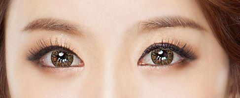 I-Codi Eclipse IC3 31 Brown (1 lens/pack)-Colored Contacts-UNIQSO Canada