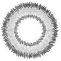 I-Codi Naty IC2 51 Grey (1 lens/pack)-Colored Contacts-UNIQSO Canada