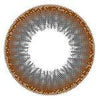 I-Codi Naty VB Brown (1 lens/pack)-Colored Contacts-UNIQSO Canada