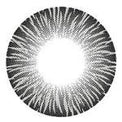 I-Codi RF Grey (1 lens/pack)-Colored Contacts-UNIQSO Canada