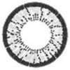 ICK Animate Grey (1 lens/pack)-Colored Contacts-UNIQSO Canada