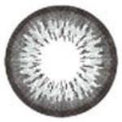 ICK Garnet Grey (1 lens/pack)-Colored Contacts-UNIQSO Canada