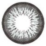 ICK Garnet Grey (1 lens/pack)-Colored Contacts-UNIQSO Canada