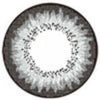 ICK Lory Grey (1 lens/pack)-Colored Contacts-UNIQSO Canada