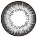 ICK Lory Grey (1 lens/pack)-Colored Contacts-UNIQSO Canada