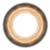 ICK Petal Brown (1 lens/pack)-Colored Contacts-UNIQSO Canada