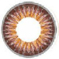 ICK Shower Brown (1 lens/pack)-Colored Contacts-UNIQSO Canada