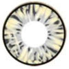 I.Fairy Cara Grey (1 lens/pack)-Colored Contacts-UNIQSO Canada