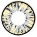 I.Fairy Cara Grey (1 lens/pack)-Colored Contacts-UNIQSO Canada