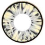 I.Fairy Cara Grey (1 lens/pack)-Colored Contacts-UNIQSO Canada