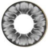 I.Fairy Tofi Grey (1 lens/pack)-Colored Contacts-UNIQSO Canada