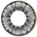 I.Fairy Tofi Grey (1 lens/pack)-Colored Contacts-UNIQSO Canada