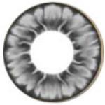 I.Fairy Tofi Grey (1 lens/pack)-Colored Contacts-UNIQSO Canada