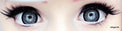 Kawayii A-Max Grey (1 lens/pack)-Colored Contacts-UNIQSO Canada