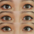 Kazzue Blytheye Brown (1 lens/pack)-Colored Contacts-UNIQSO Canada