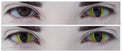 Kazzue Crazy Lens with Power - Cat Eyes (1 lens/pack)-Crazy Contacts-UNIQSO Canada