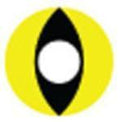 Kazzue Crazy Lens with Power - Cat Eyes (1 lens/pack)-Crazy Contacts-UNIQSO Canada