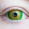 Kazzue Mini Sclera Rogue (1 lens/pack)-Mini Sclera Contacts-UNIQSO Canada