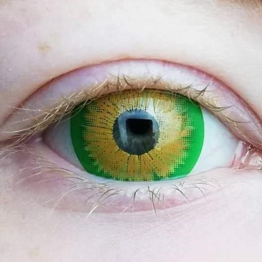 Kazzue Mini Sclera Rogue (1 lens/pack)-Mini Sclera Contacts-UNIQSO Canada