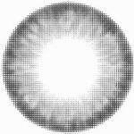 Kazzue Pro Crystal Grey (1 lens/pack)-Colored Contacts-UNIQSO Canada