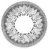 Kazzue Winter Grey (1 lens/pack)-Colored Contacts-UNIQSO Canada
