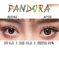 I.Fairy Pandora Brown (1 lens/pack)-Colored Contacts-UNIQSO