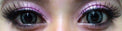 Phantasee BE Lovely Grey (2 lenses/pack)-Colored Contacts-UNIQSO Canada