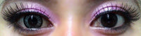 Phantasee BE Lovely Grey (2 lenses/pack)-Colored Contacts-UNIQSO Canada