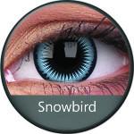 Phantasee Crazy Blue Snowbird (2 lenses/pack)-Crazy Contacts-UNIQSO Canada