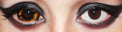 Phantasee Gold Sclera Contacts Morbius (2 lenses/pack)-Sclera Contacts-UNIQSO Canada