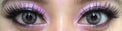 Phantasee Mellow Passion Pearl (2 lenses/pack)-Colored Contacts-UNIQSO Canada