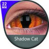 Phantasee Sclera Contacts Shadowcat (2 lenses/pack)-Sclera Contacts-UNIQSO Canada