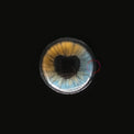 Sweety Anime Shining Heart Blue Brown (1 lens/pack)-Colored Contacts-UNIQSO Canada