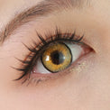 Sweety Aquaman Yellow (1 lens/pack)-Colored Contacts-UNIQSO Canada