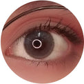 Sweety Bassia Grey (1 lens/pack)-Colored Contacts-UNIQSO Canada