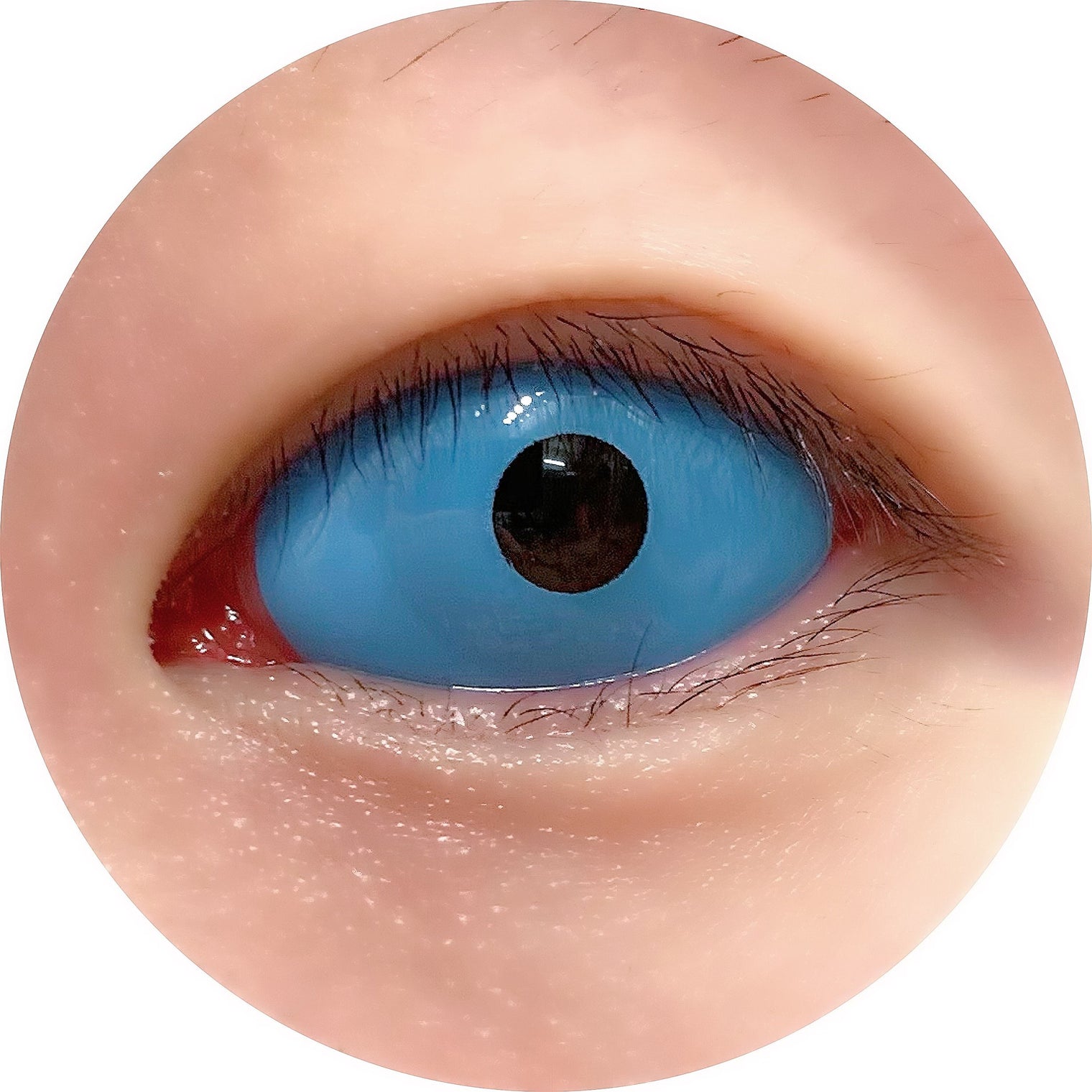 Sweety Blue Sclera Contacts (1 lens/pack)-Sclera Contacts-UNIQSO Canada