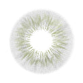 Sweety Camilla Grey (1 lens/pack)-Colored Contacts-UNIQSO Canada