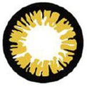 Sweety Crazy BT Yellow (1 lens/pack)-Crazy Contacts-UNIQSO Canada