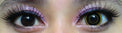 Sweety Crazy Eclipse (1 lens/pack)-Crazy Contacts-UNIQSO Canada