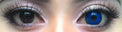 Sweety Crazy Hell Reaper (1 lens/pack)-Crazy Contacts-UNIQSO Canada