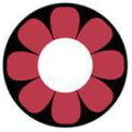 Sweety Crazy Pink Flower (1 lens/pack)-Crazy Contacts-UNIQSO Canada